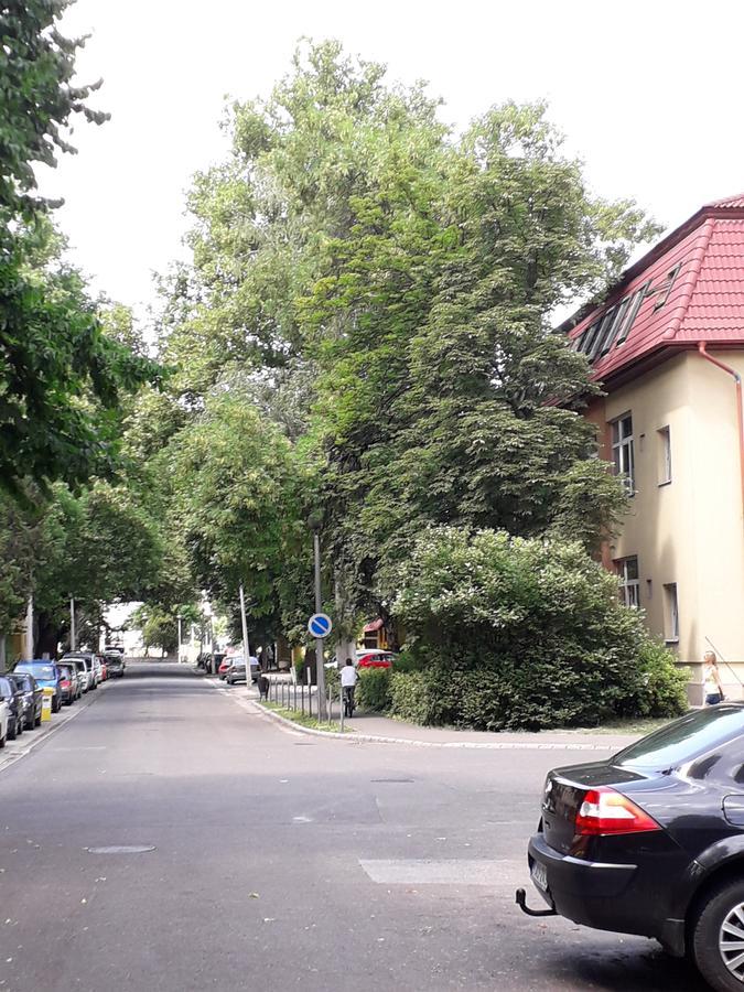 Kodaly Apartman Eger Eksteriør bilde